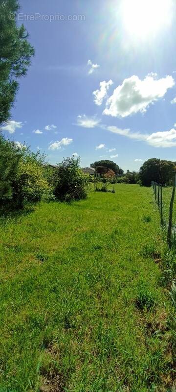 Terrain à L&#039;ISLE-JOURDAIN