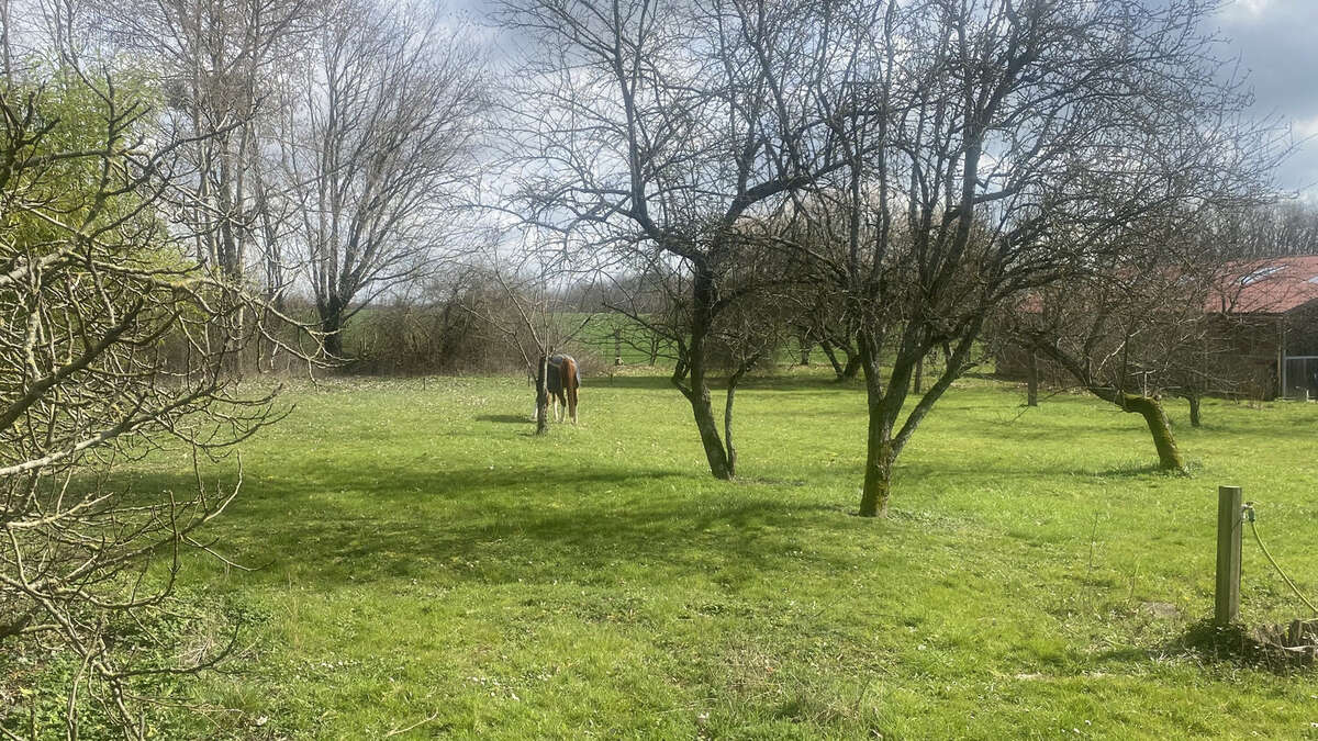 Maison à COULOMMIERS