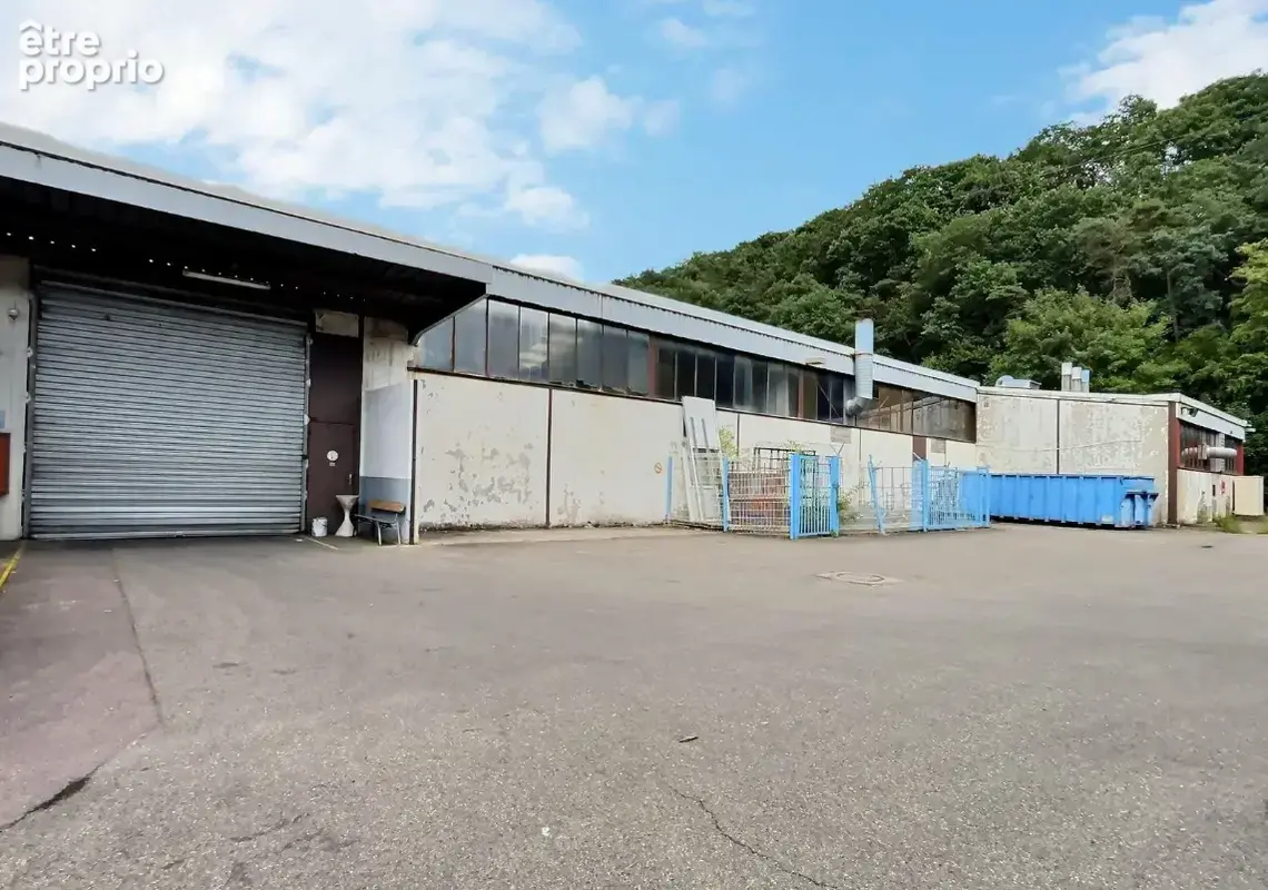 A VENDRE - Bâtiment d'activité / stockage - 4500 m2 - Saint-Avold - photo 3