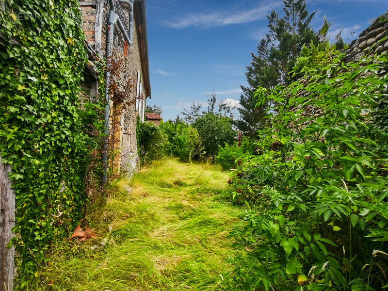 Dpt Gers (32), à vendre SAINT MONT Maison ancienne T4 de 160 m² habitables en plain pied + grenier aménageable + grange attenant - photo 10