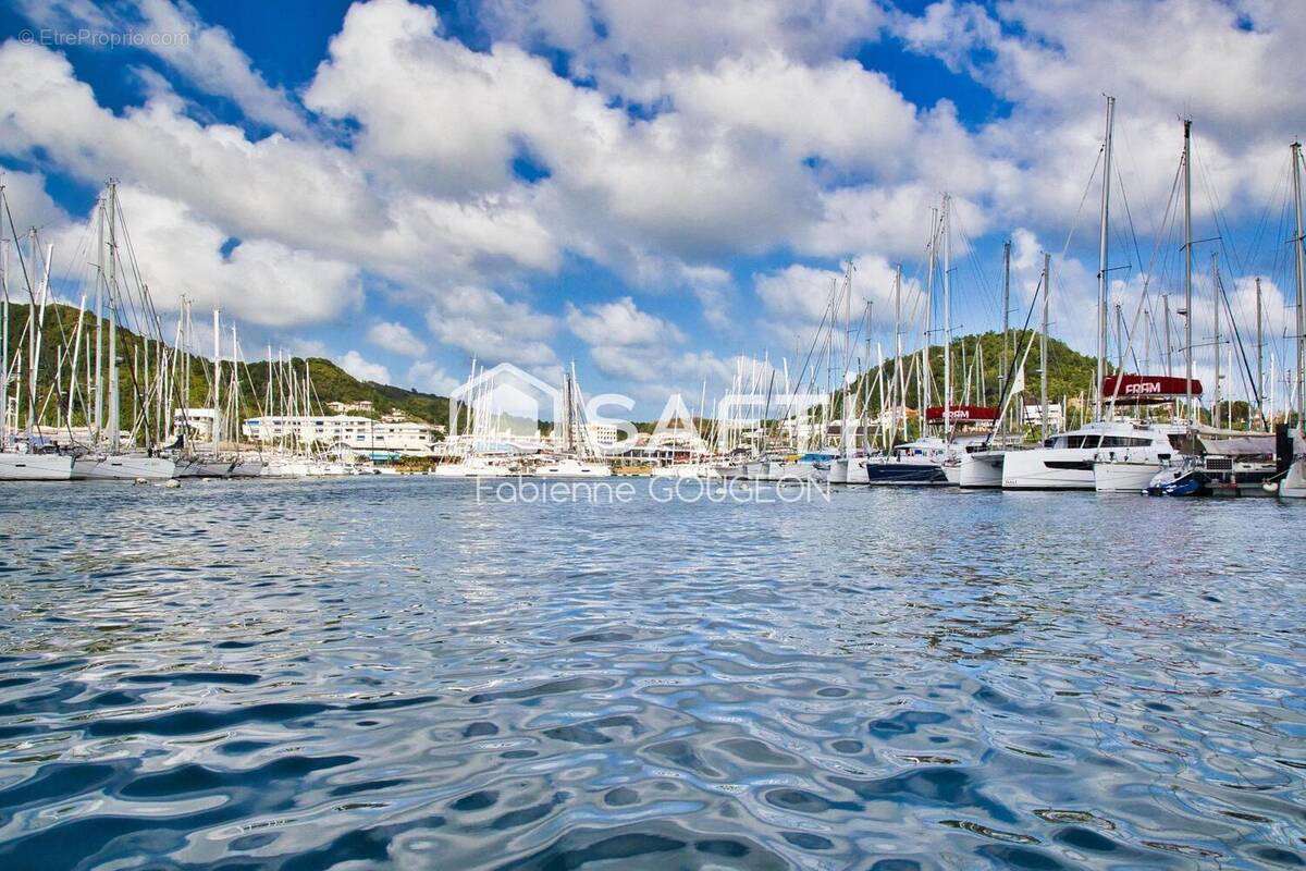 Photo 1 - Appartement à LE MARIN