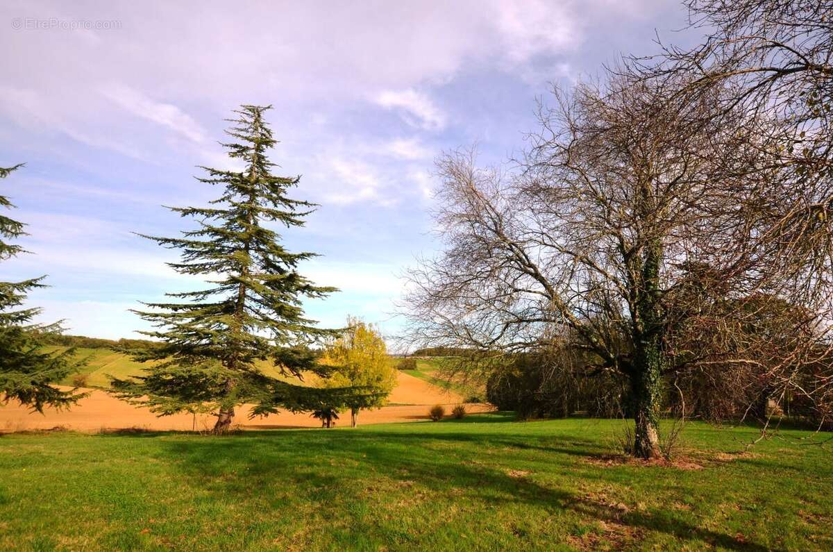 022 - Maison à MONTESQUIOU