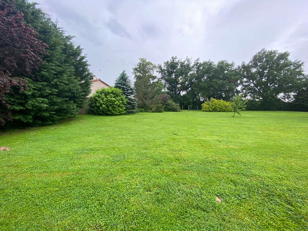 Terrain à LA CHAPELLE-DU-CHATELARD