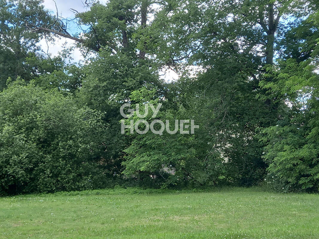 Terrain à LES ARTIGUES-DE-LUSSAC