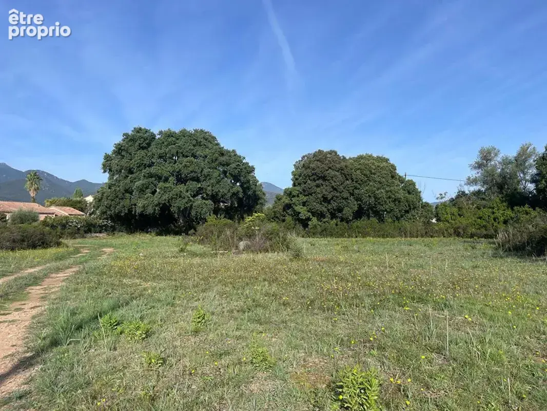Terrain à GHISONACCIA