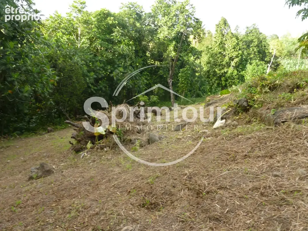 GOURBEYRE Terrain de 1200m2 - photo 6