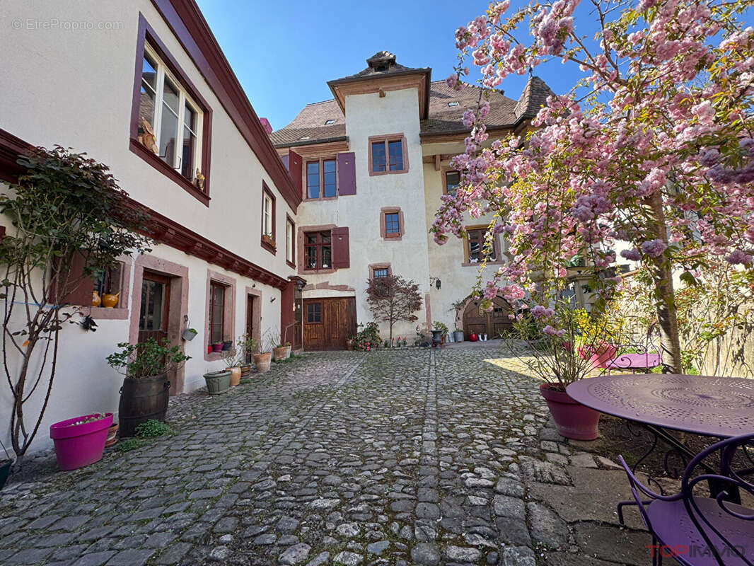 Maison à RIBEAUVILLE