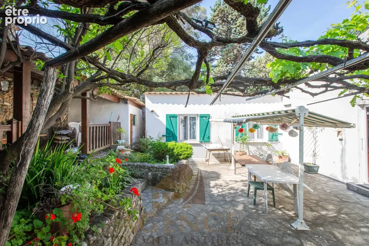 Antibes Suquette Maison avec terrain 2100m2– Authentique propriété en pierre – Environnement privilégié – Fort potentiel – Pisci - photo 3
