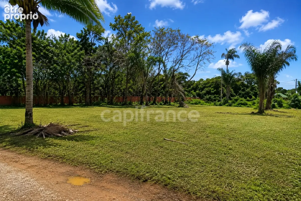 Terrain constructible de 1010 m² à vendre à Sainte Agathe - MACOURIA (973) - photo 6