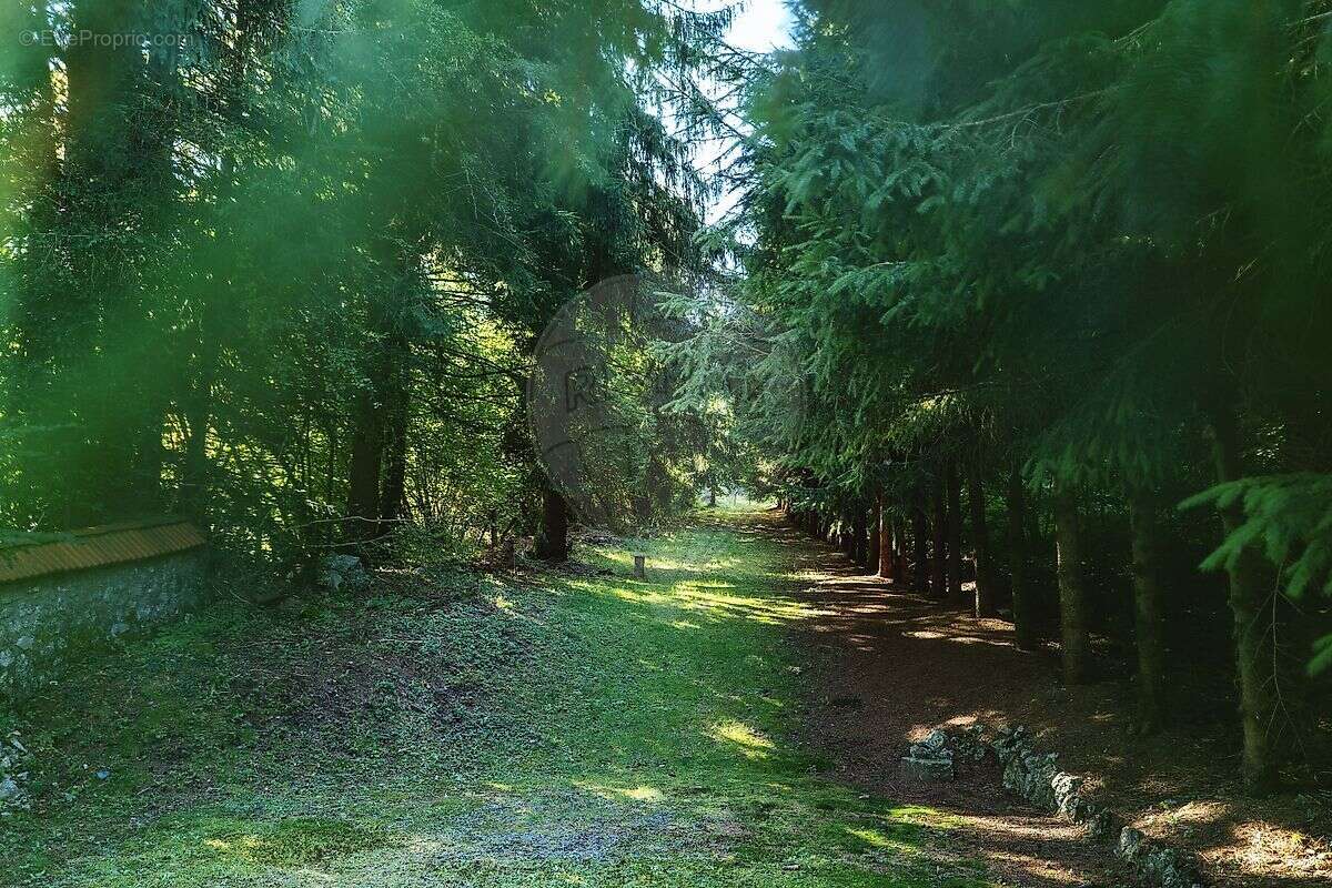 Maison à SAINT-NICOLAS-DES-BIEFS