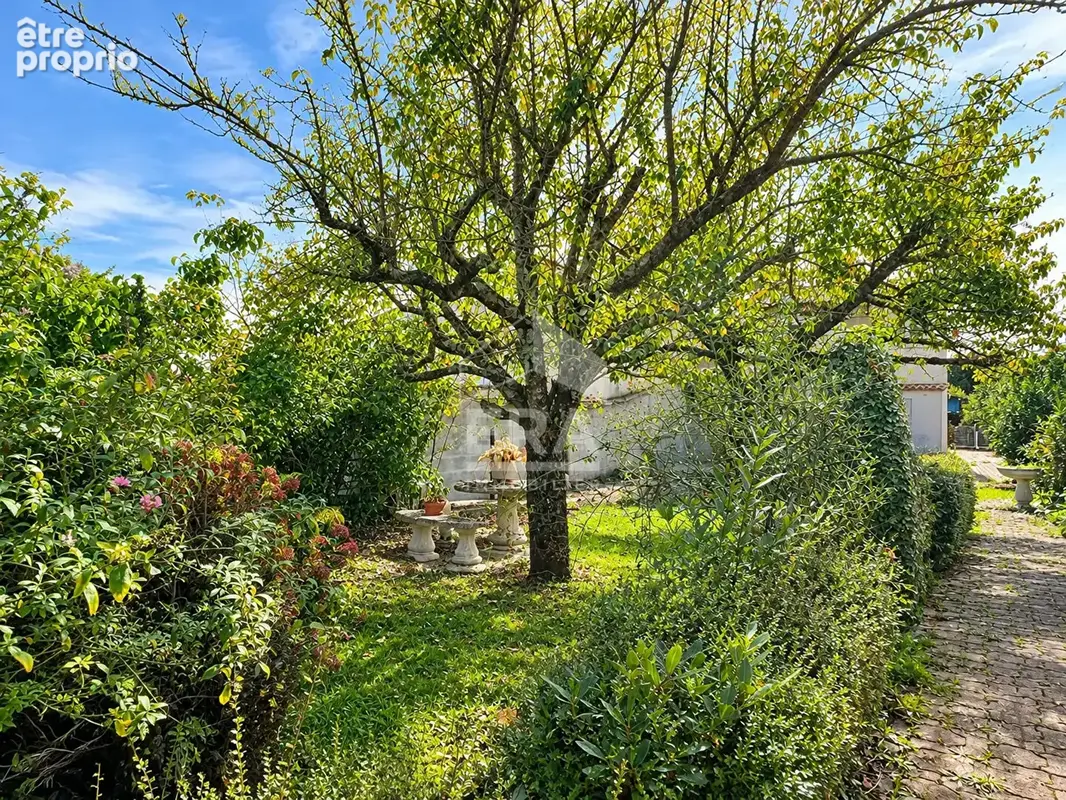 Exclusivité era royan - meschers-sur-gironde - photo 15