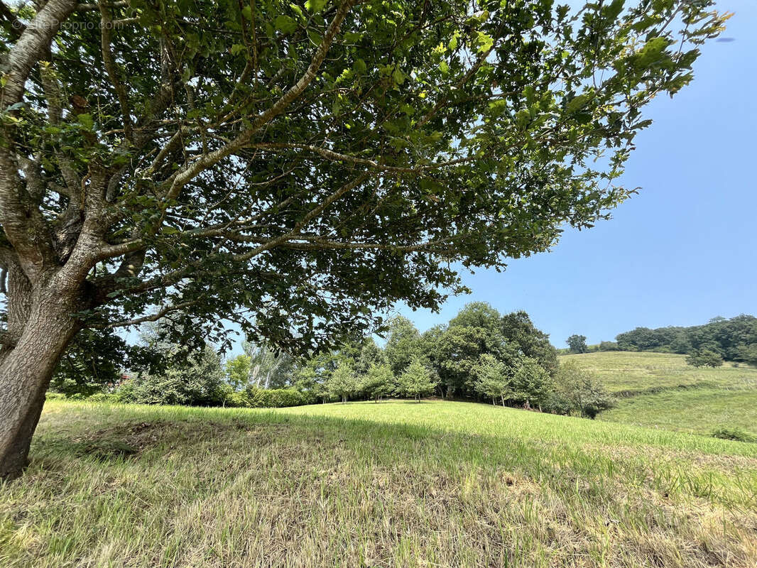 Photo 6 - Terrain à IRISSARRY