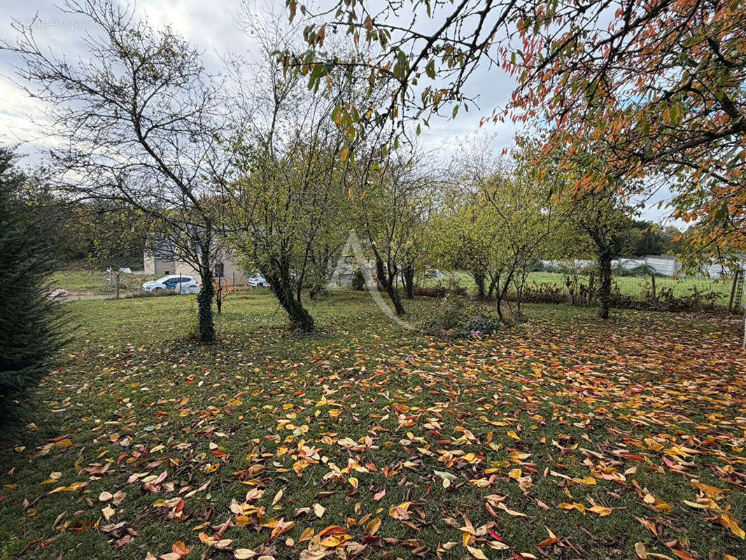 Terrain à BRISSAC-QUINCE