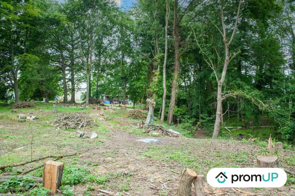 Terrain à NEUILLY-SAINT-FRONT