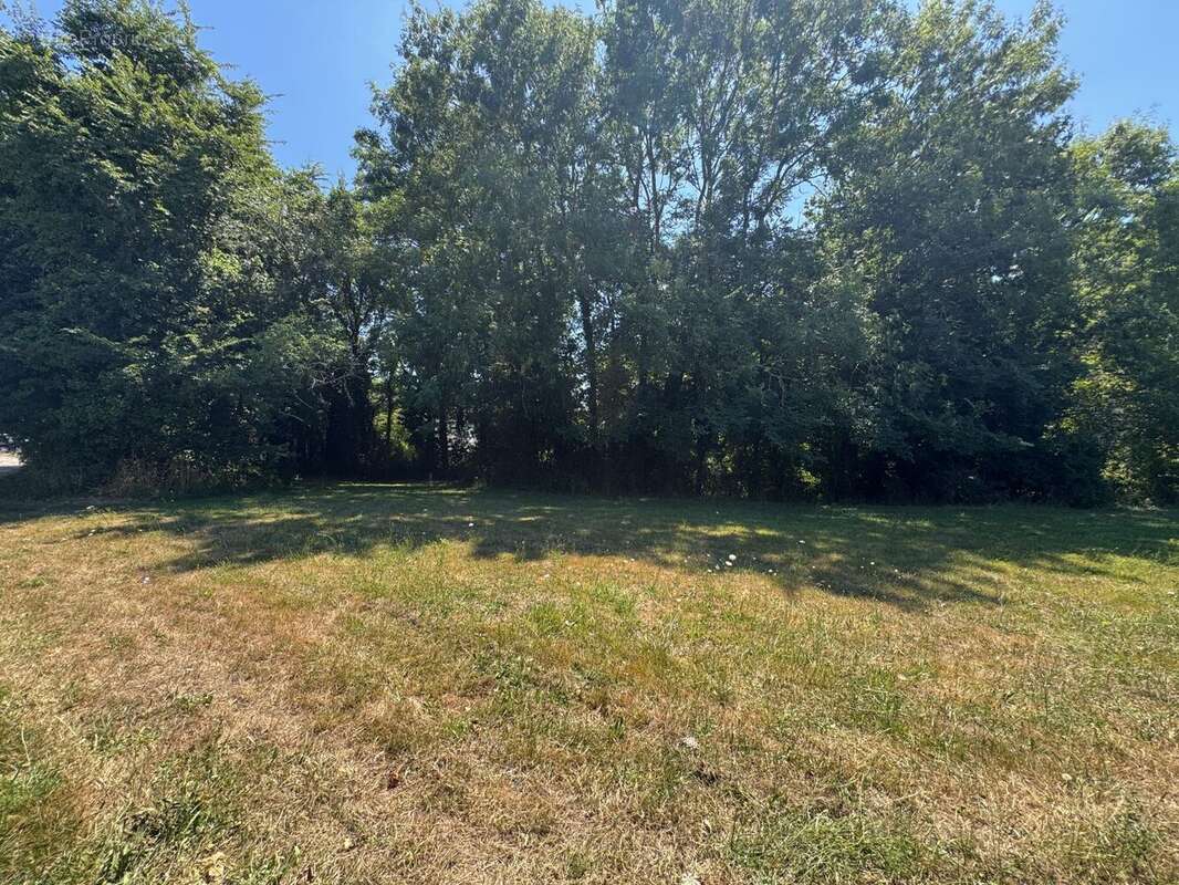 Terrain à MOELAN-SUR-MER