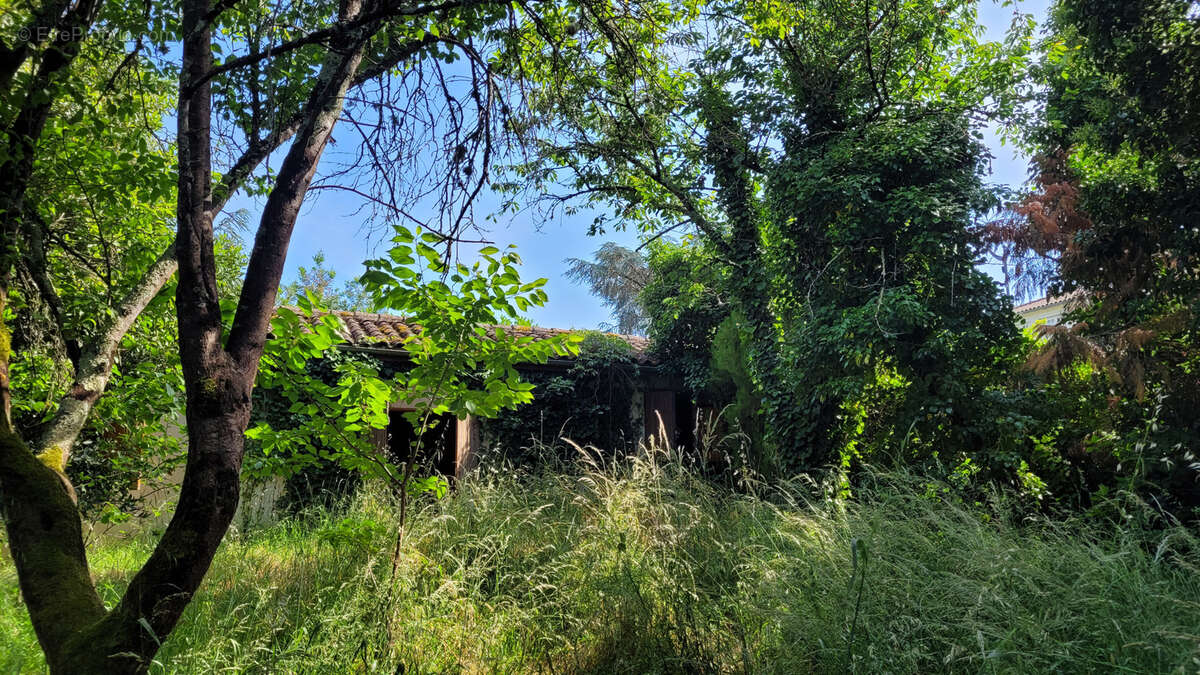 Damazan, centre ville terrain avec bâtiment - photo 10