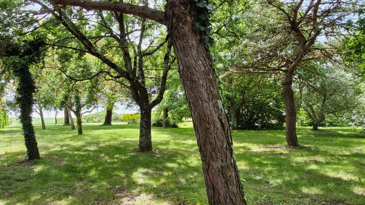 Maison à CHENAC-SAINT-SEURIN-D&#039;UZET