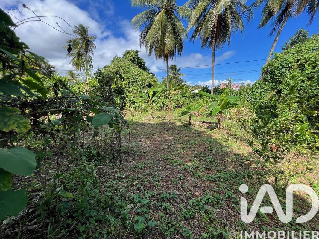Photo 1 - Terrain à CAPESTERRE-BELLE-EAU