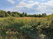 Terrain à PRUNIERS-EN-SOLOGNE