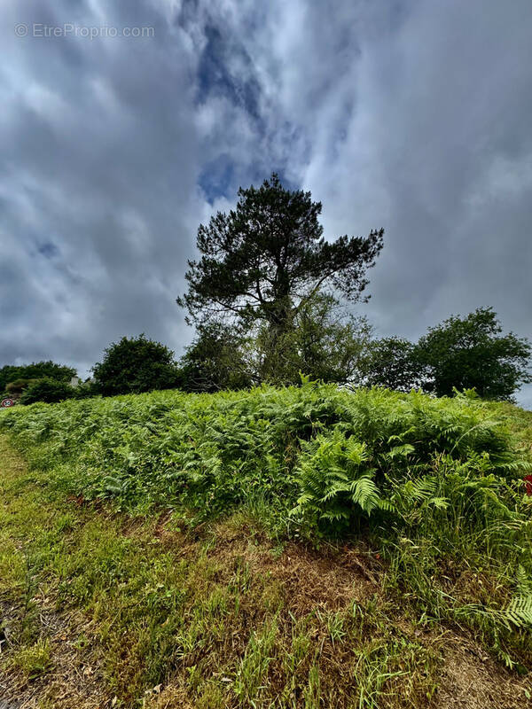 Terrain à PONTIVY