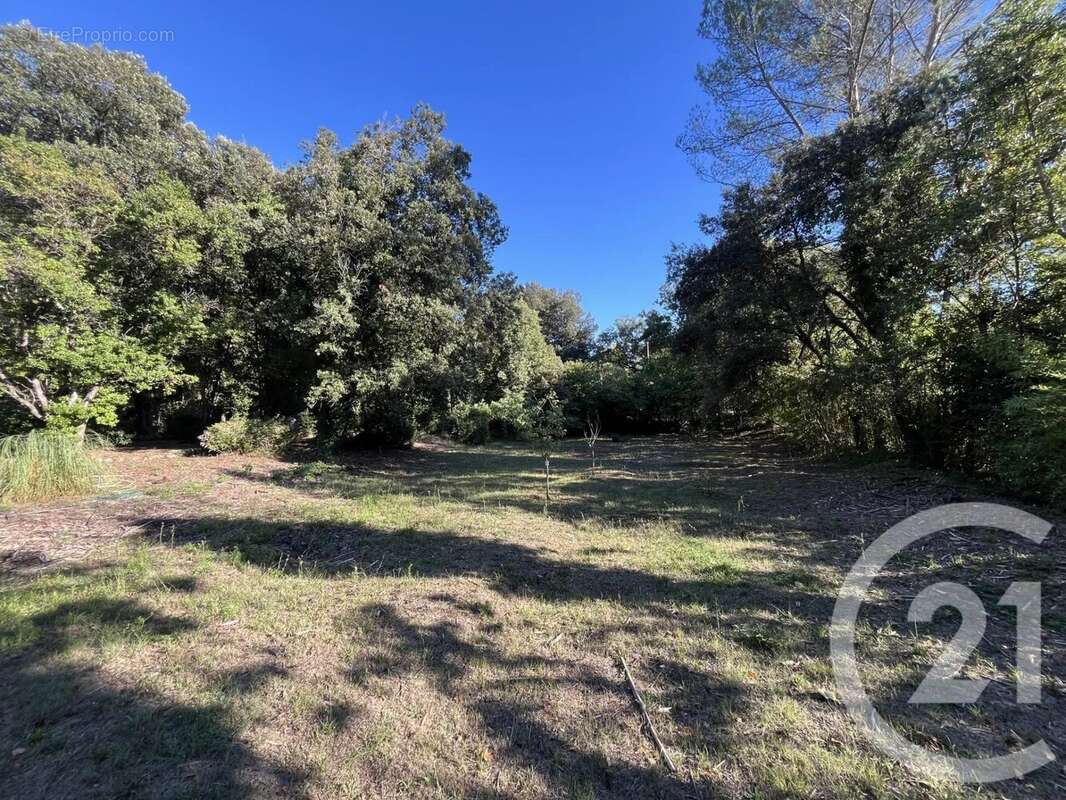 Terrain à ROQUEFORT-LES-PINS