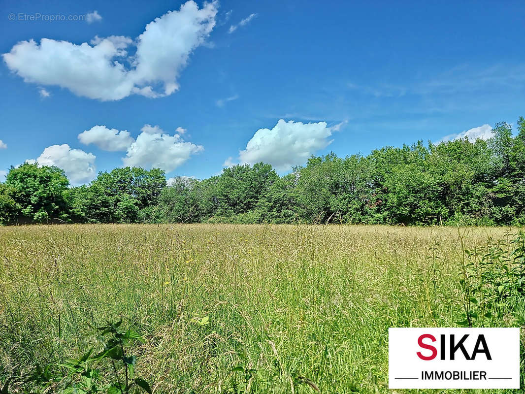 Terrain à PHALSBOURG