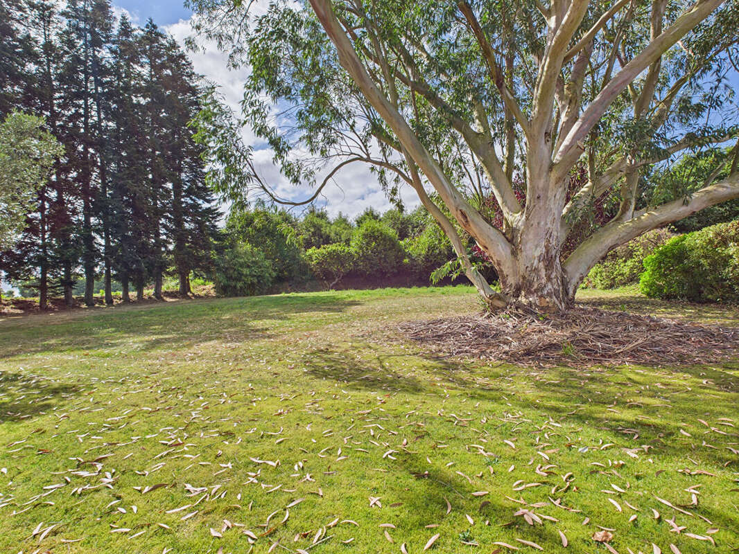 Maison à LA FORET-FOUESNANT