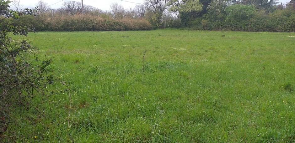 Terrain à PLEUMARTIN