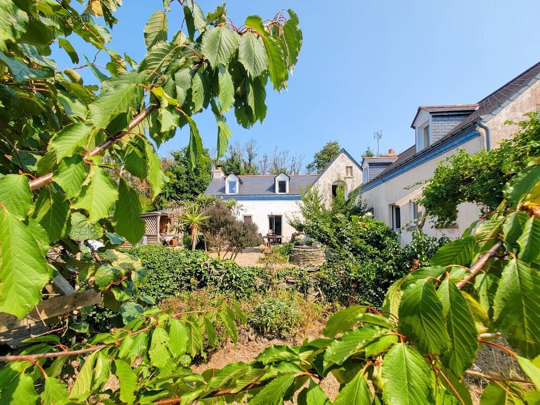 Maison à GROIX