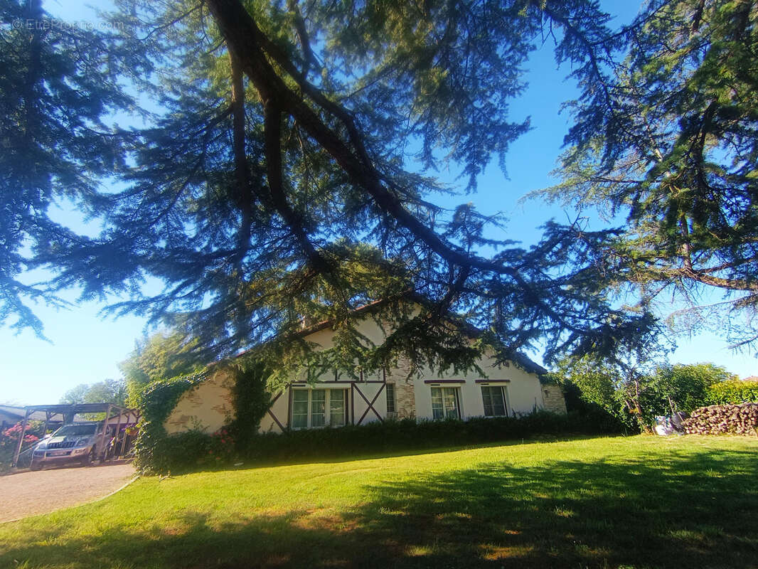Belle villa de style Basque contemporain - photo 25