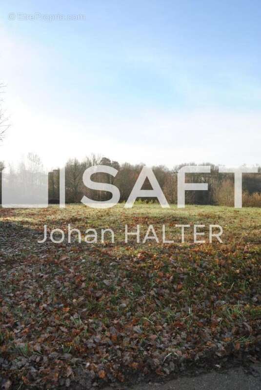 Photo 7 - Terrain à MOISSAC