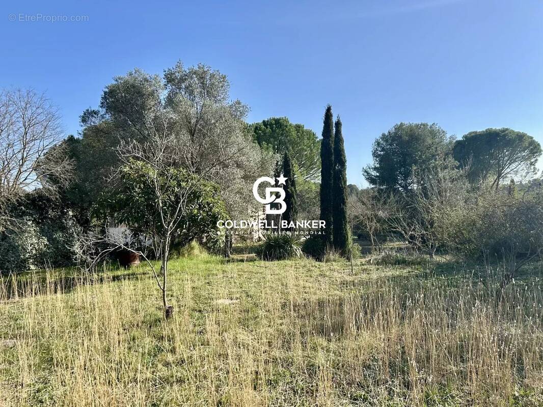 Terrain à CASTELNAU-LE-LEZ