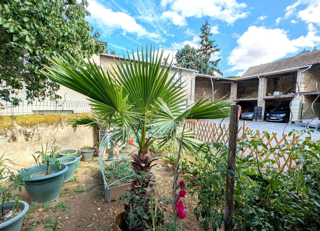 Maison à MONTREUIL-BELLAY
