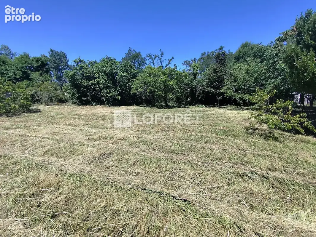 Lescure d'albigeois - photo 3