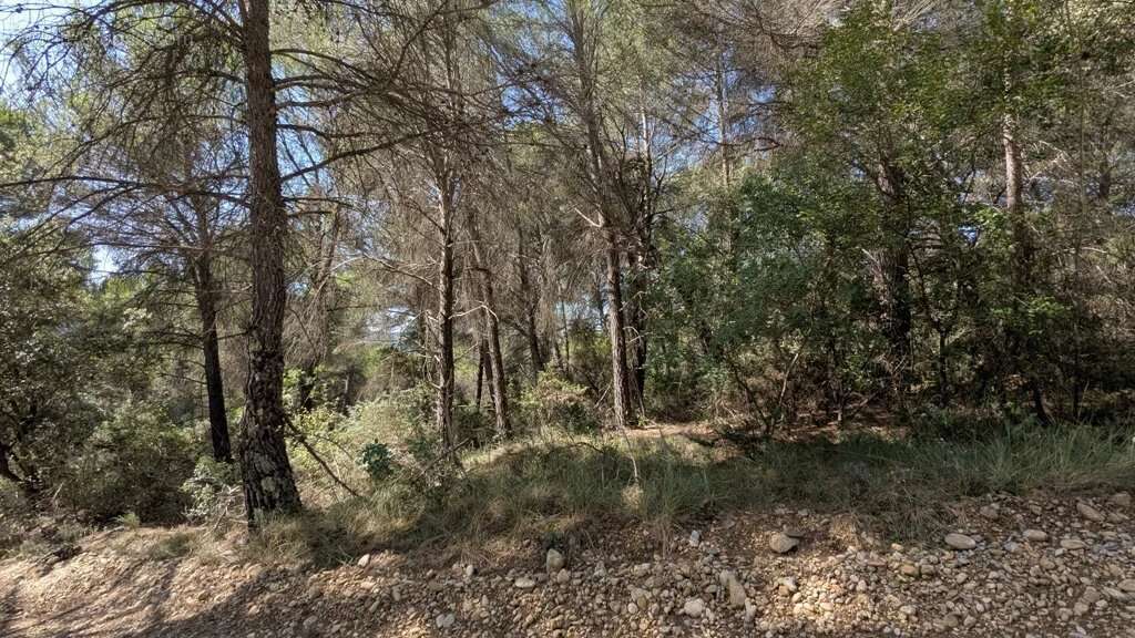 BRUNET - Terrain non constructible 14.570m² - photo 4