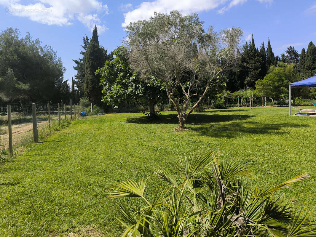 Propriété de charme au cœur de la nature   prestations de qualité - photo 13