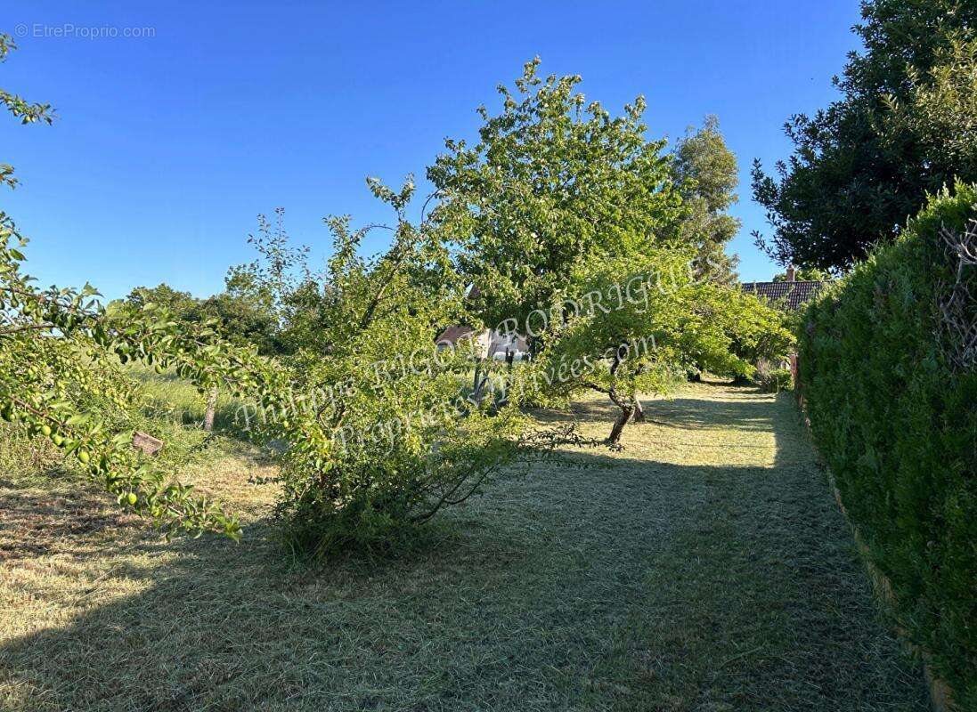 Maison à SAINT-MARTIN-DES-CHAMPS