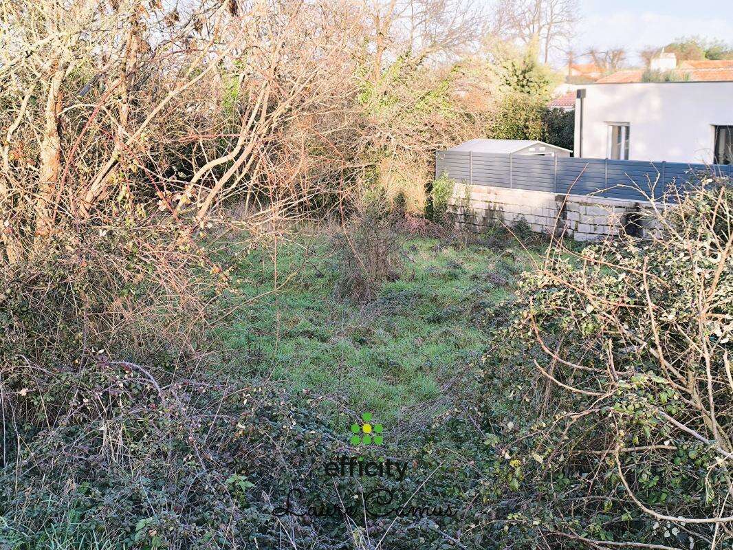 Terrain à TALMONT-SAINT-HILAIRE