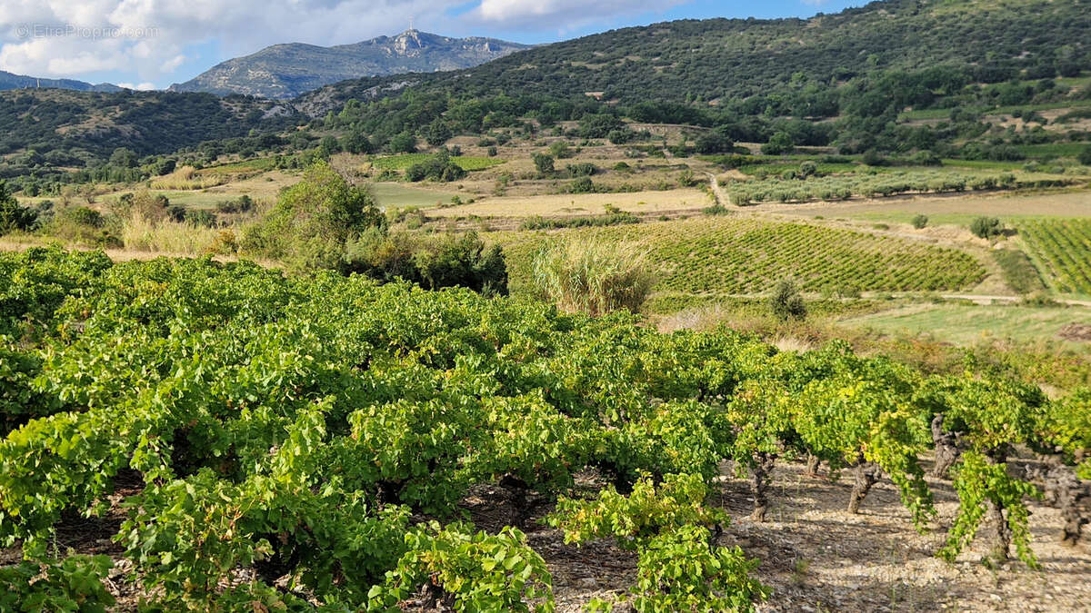 Terrain à MONTPEYROUX