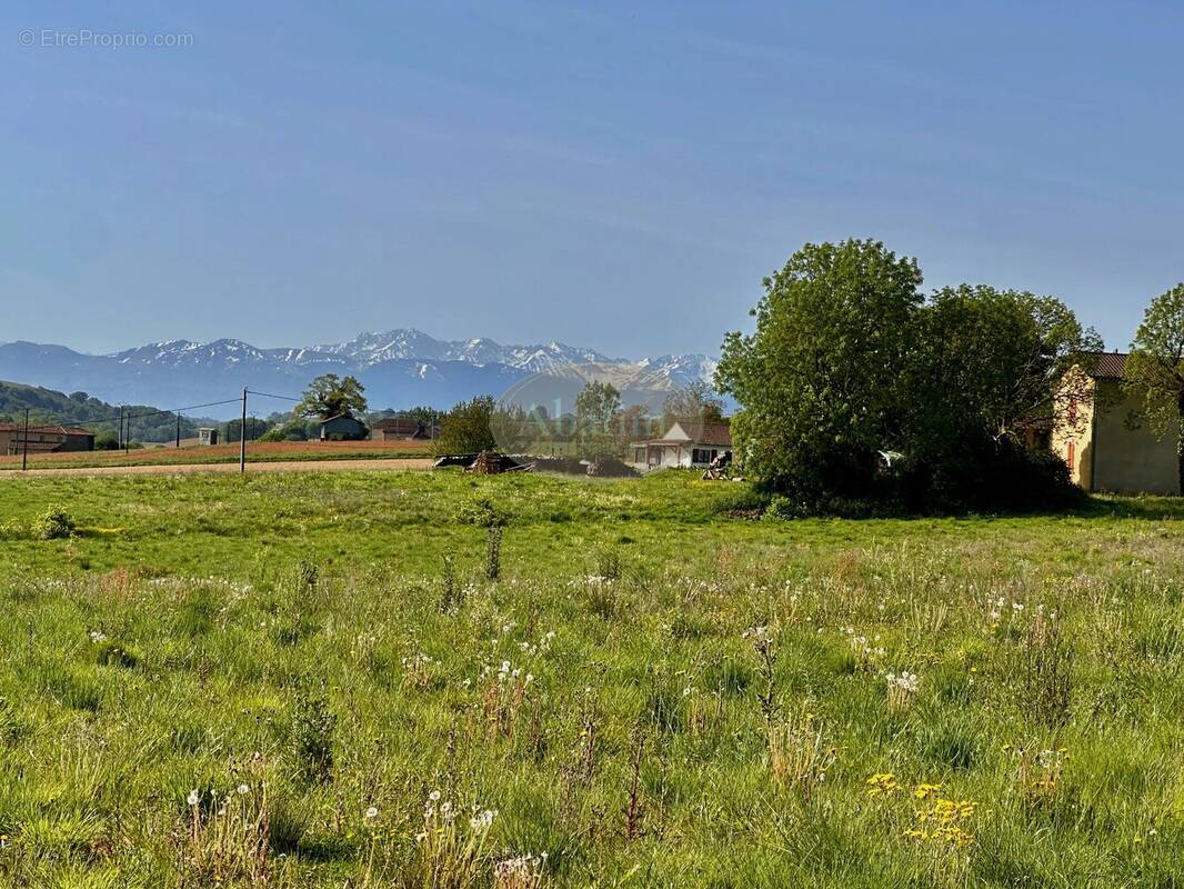 Terrain à MUN