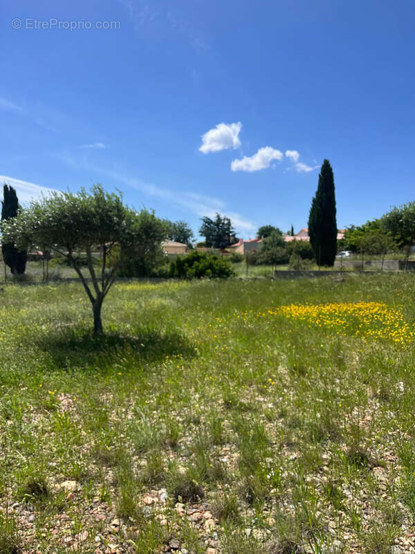 Terrain à SAINT-ESTEVE