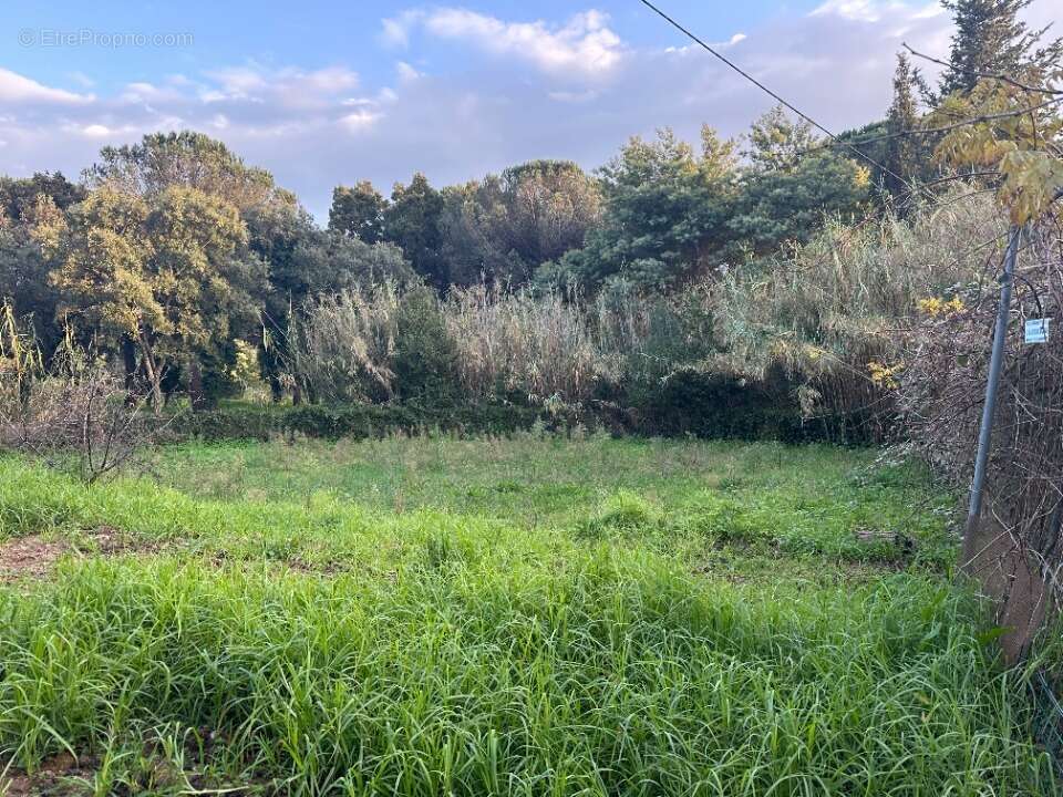 Terrain à SAINTE-MAXIME