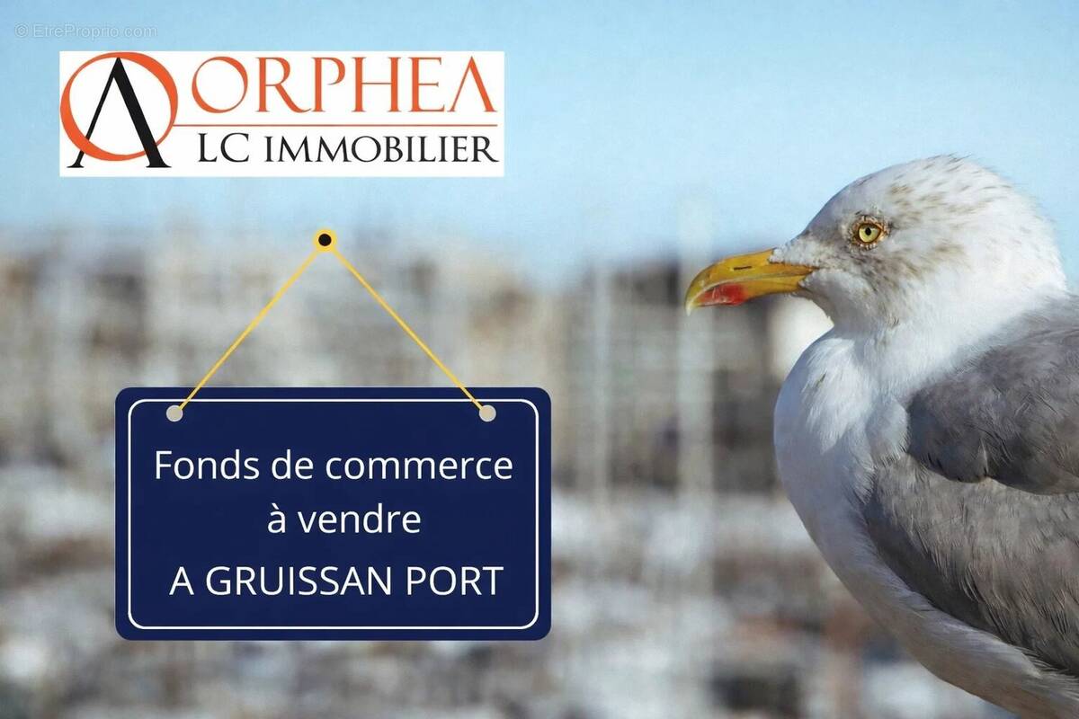 Commerce à GRUISSAN