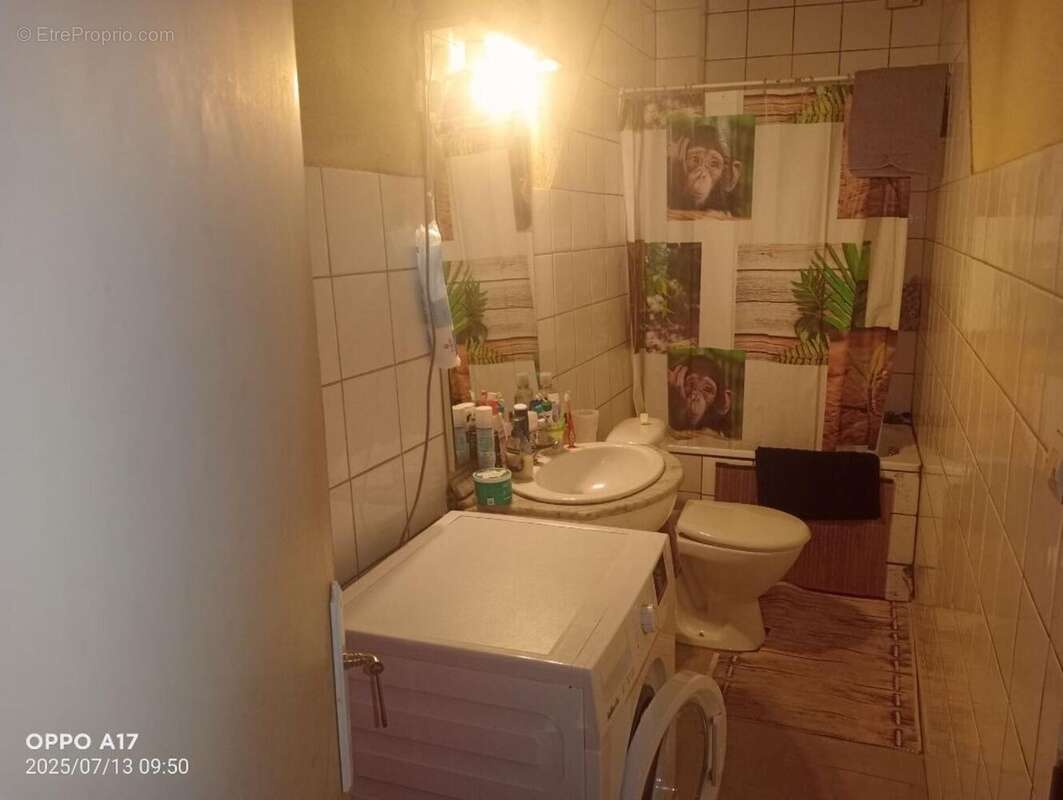 Photo 8 - Appartement à MULHOUSE