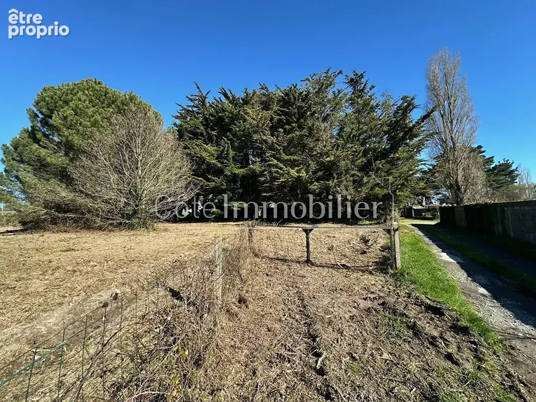 Villeneuve en retz - photo 2
