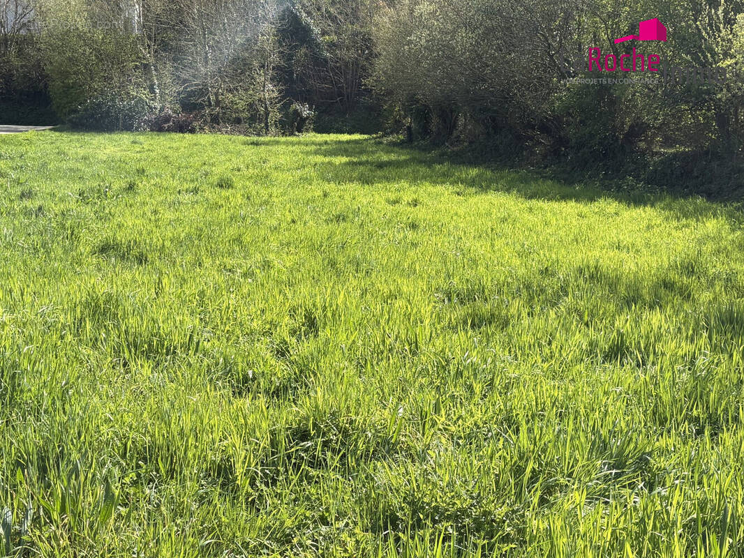 Terrain à LA ROCHE-MAURICE