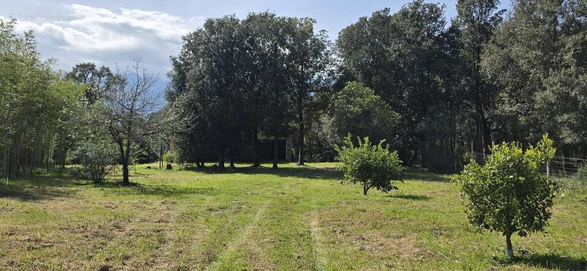 Maison à GHISONACCIA