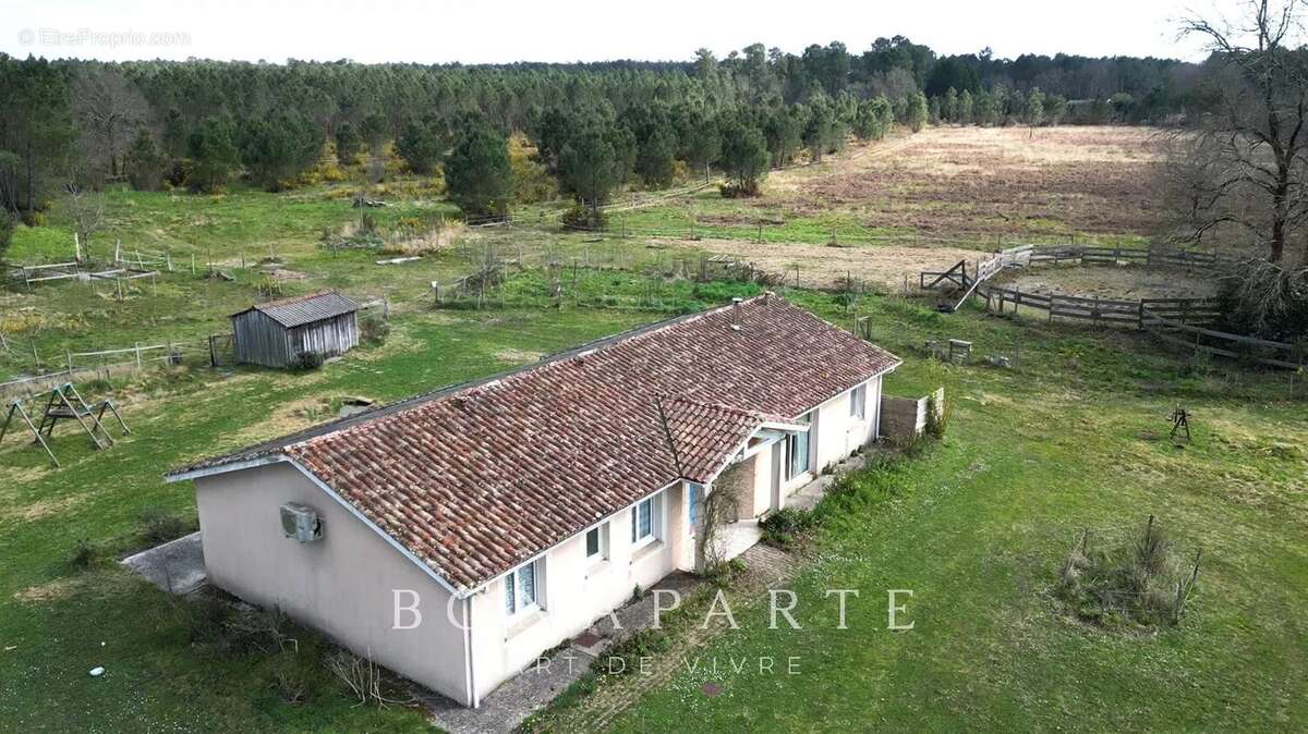Le temple - propriete de 18 hectares a 10 minutes des plages oceanes et 30 minutes de bordeaux - photo 5