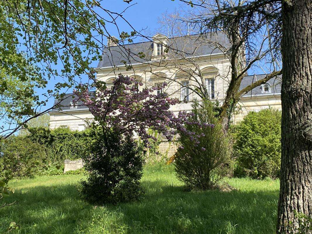 Maison à MONTAGNE