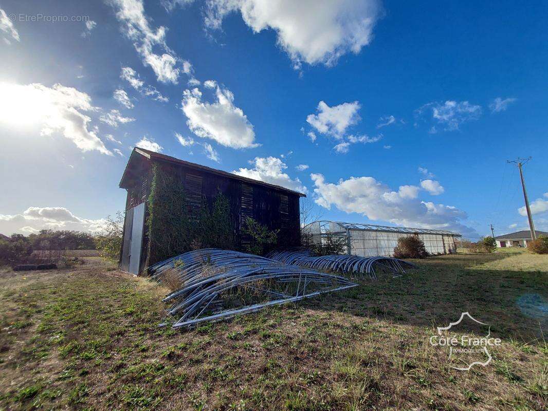 Terrain à LONGUEVILLE